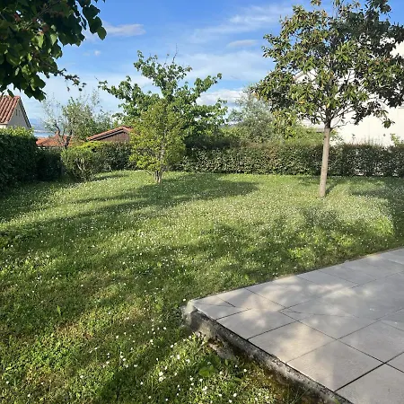 Magnolia Izola