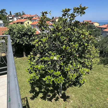 Lägenhet Magnolia *