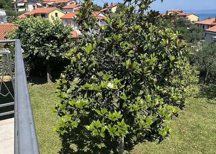 アパート Magnolia *